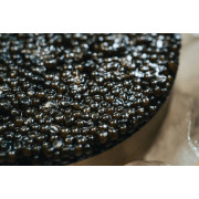 Russian sturgeon limited selection 250gr