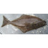 Turbot (2.3-2.5 lb) , fresh frozen