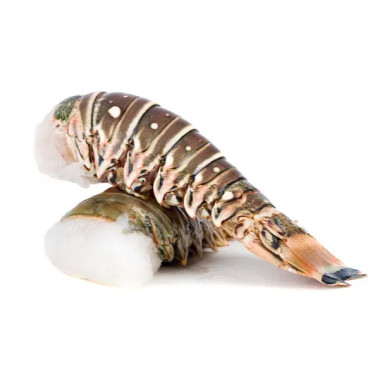 Lobster tail 16-20oz