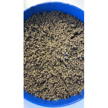 Russian Sturgeon Caviar 125gr