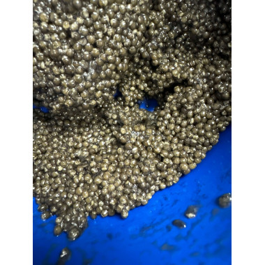 Russian Sturgeon Caviar 125gr