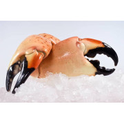 Stone Crab 5 pound