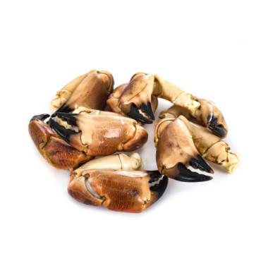 Claws of the Norwegian brown crab