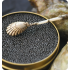 Russian Sturgeon Caviar 125gr