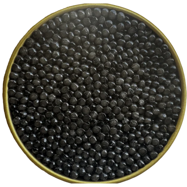 Osetra Royal - Image 2