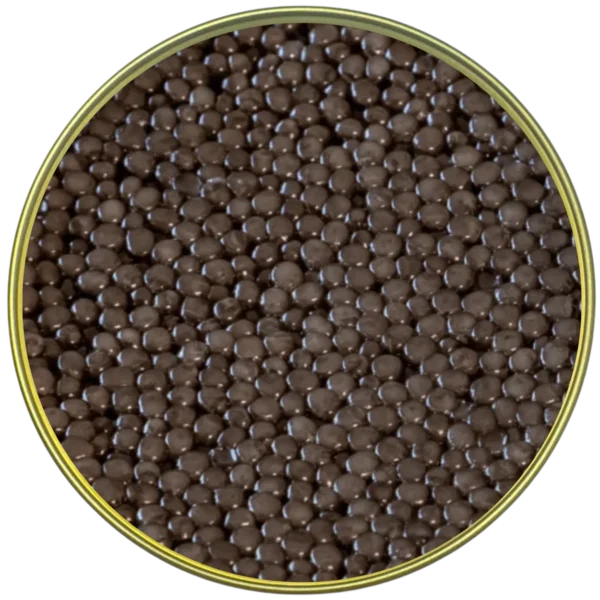Premium Caspian Osetra - Image 2