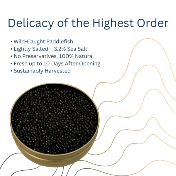 Paddlefish Caviar - Image 6