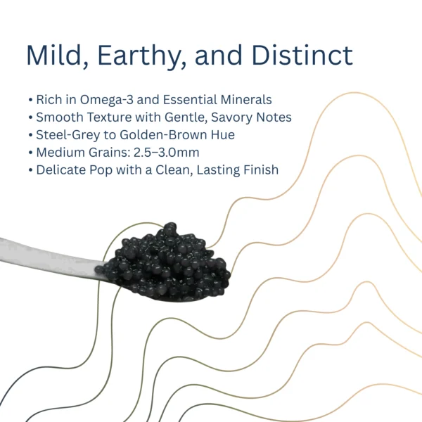 Paddlefish Caviar - Image 7