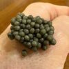 Premium Russian Sturgeon Caviar - Image 3