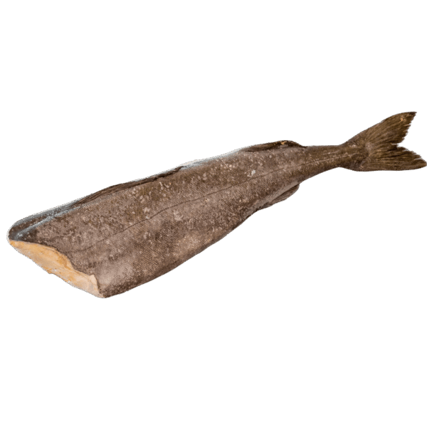 Black Cod
