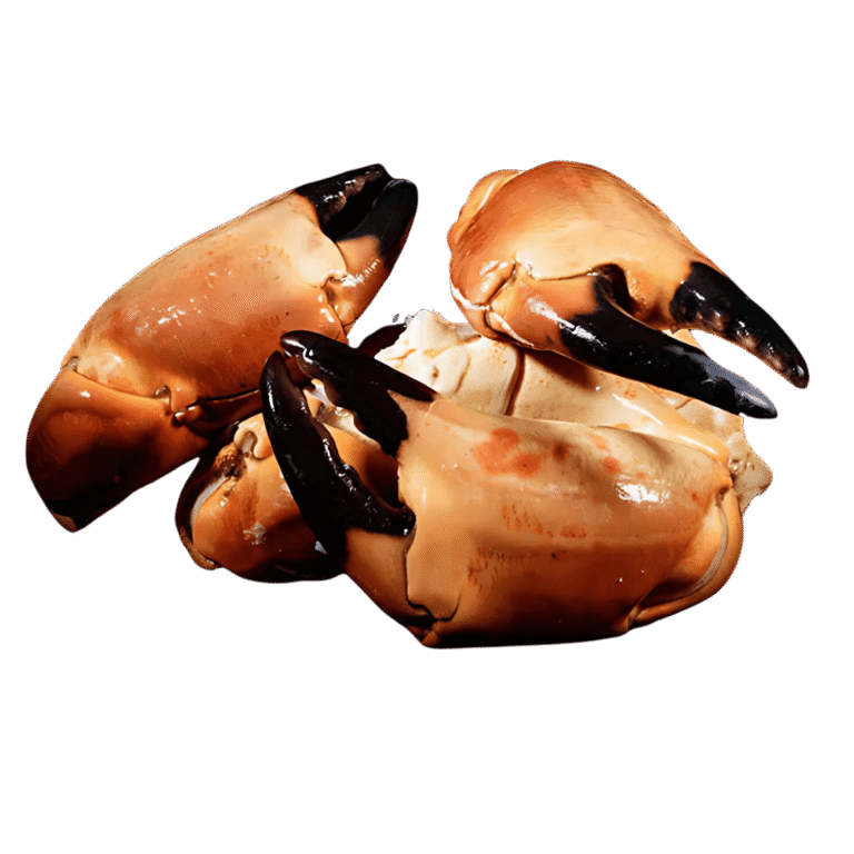 Claws of the Norwegian brown crab