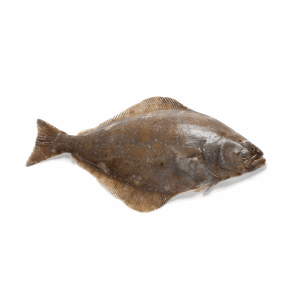 Halibut, Freshly Frozen