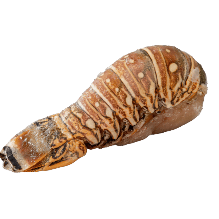 Lobster Tails Wild 12–14 oz