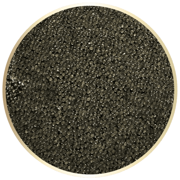Paddlefish Caviar - Image 2
