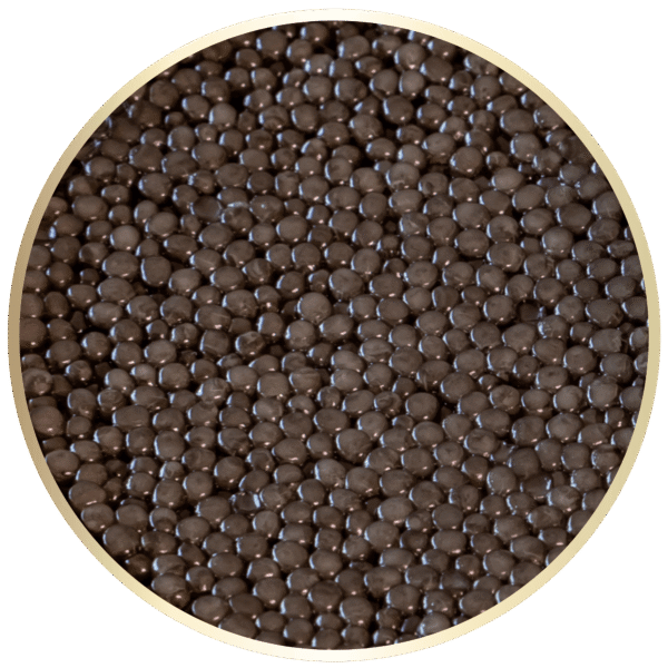 Premium Caspian Osetra - Image 2