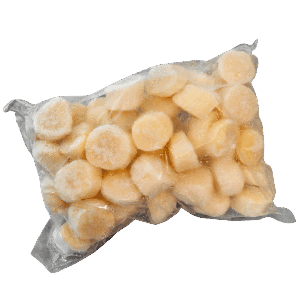 Scallop big size U10 2,5 kg