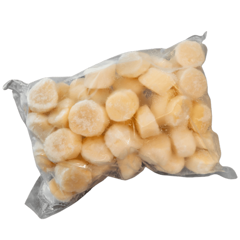Scallop big size U10 2,5 kg