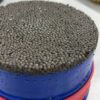 White Sturgeon - Image 5