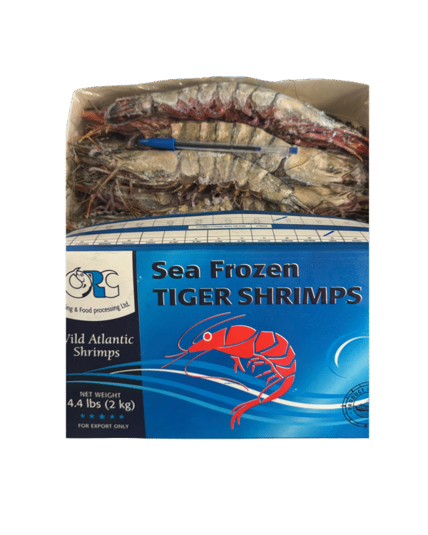 Wild Atlantic Tiger Shrimp - Image 2