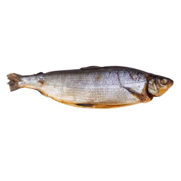 Dried Whitefish – $25lb